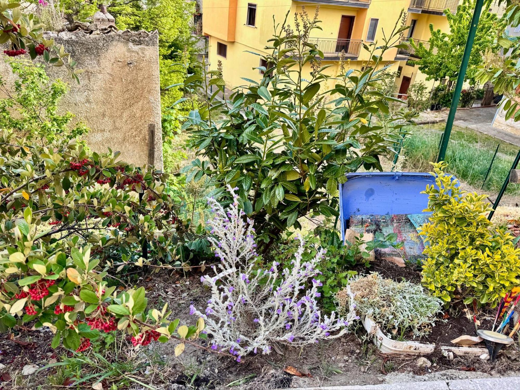 La Casa Dell'Artista Di Vittorio Vertone Pietragalla ภายนอก รูปภาพ